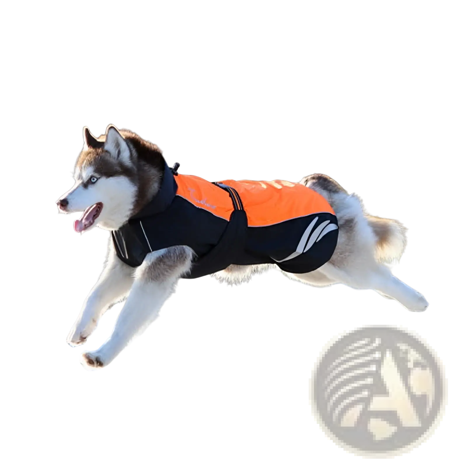 Orange and black led waterproof dog down jacket with reflective stripes shown from back for winter warmth