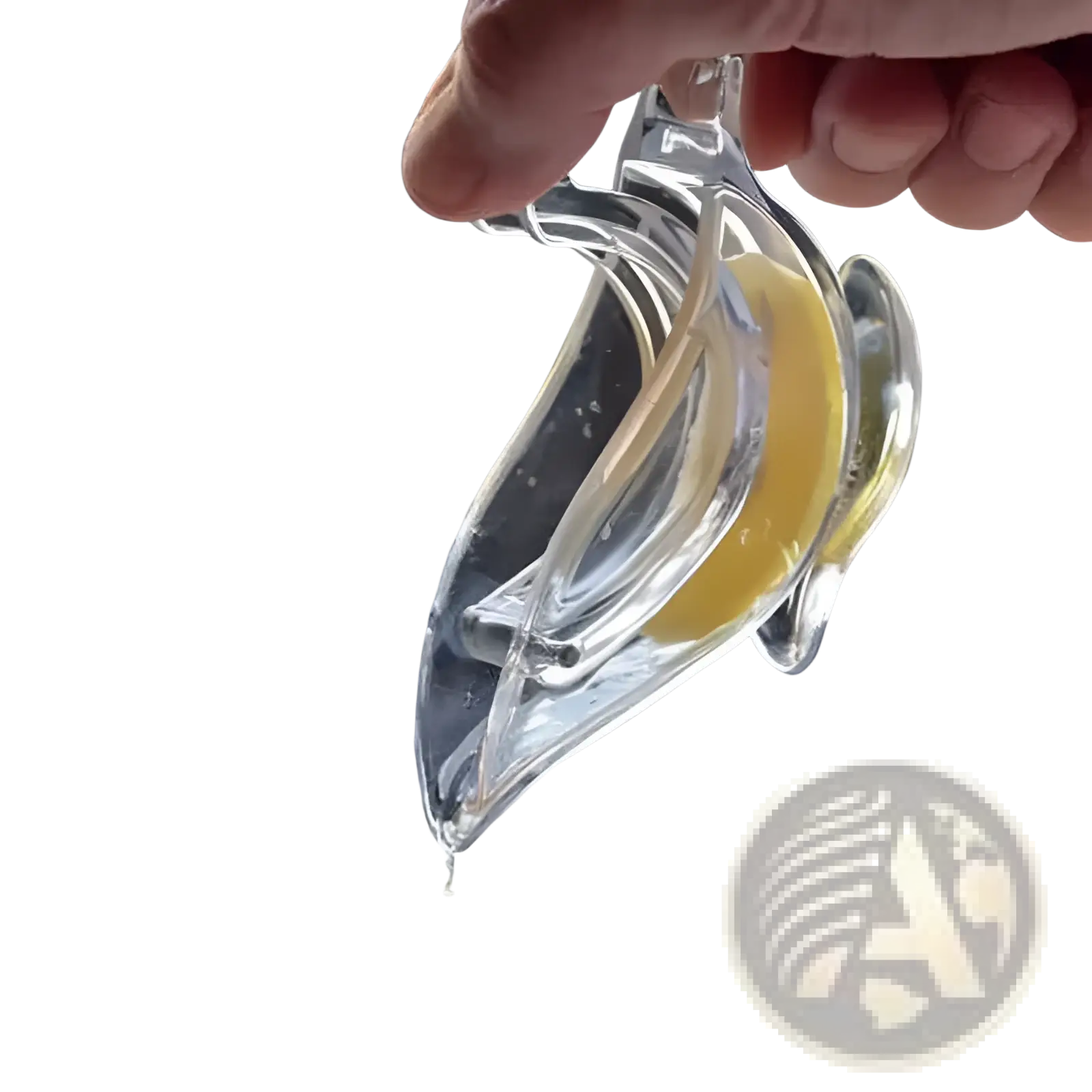 Clear glass lemon squeezer shaped like a dolphin made of acrylic for manual citrus juicing and called lemon squeezer bird