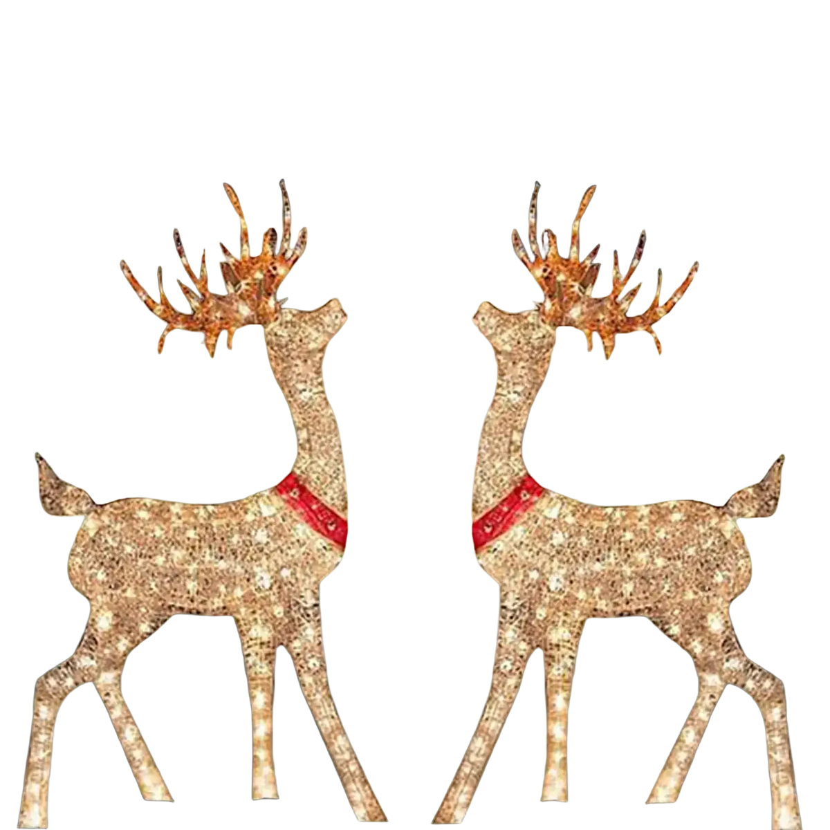 Two golden glittering christmas reindeer figurines with red collars and illuminated antlers for outdoor yard decoration
