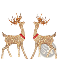 Two illuminated lighted Christmas reindeer outdoor yard decorations with white light mesh and red led neck bands