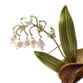 Delicate white lily of the valley pearl brooch pin with gold-toned metal stems and leaves for elegant accessorizing