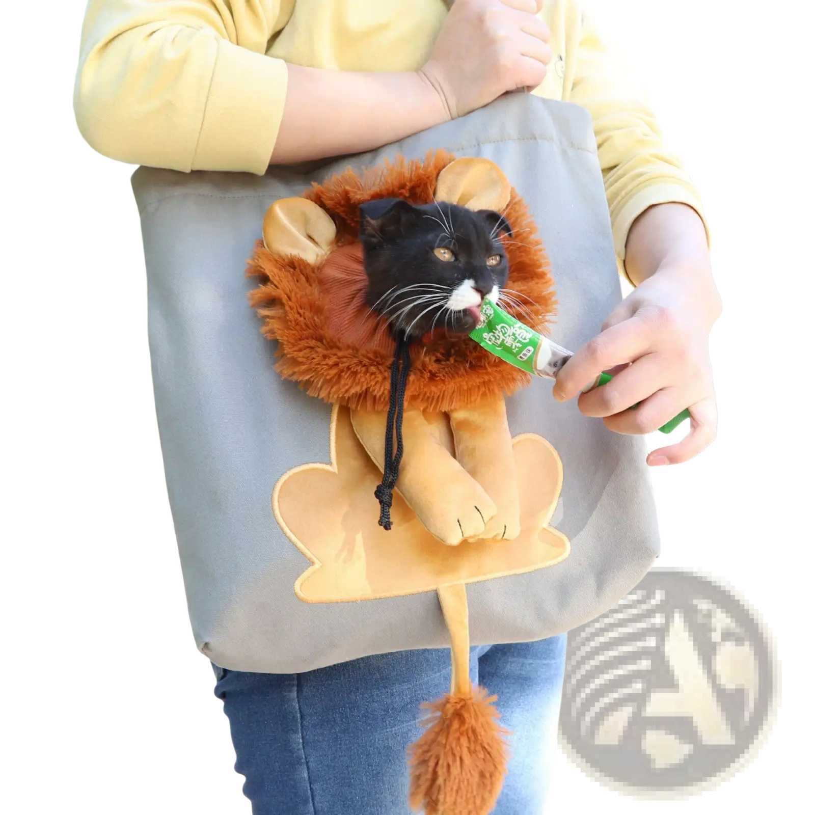 A black cat in a lion design portable pet carrier bag made of gray fabric with orange fur costume peek inside