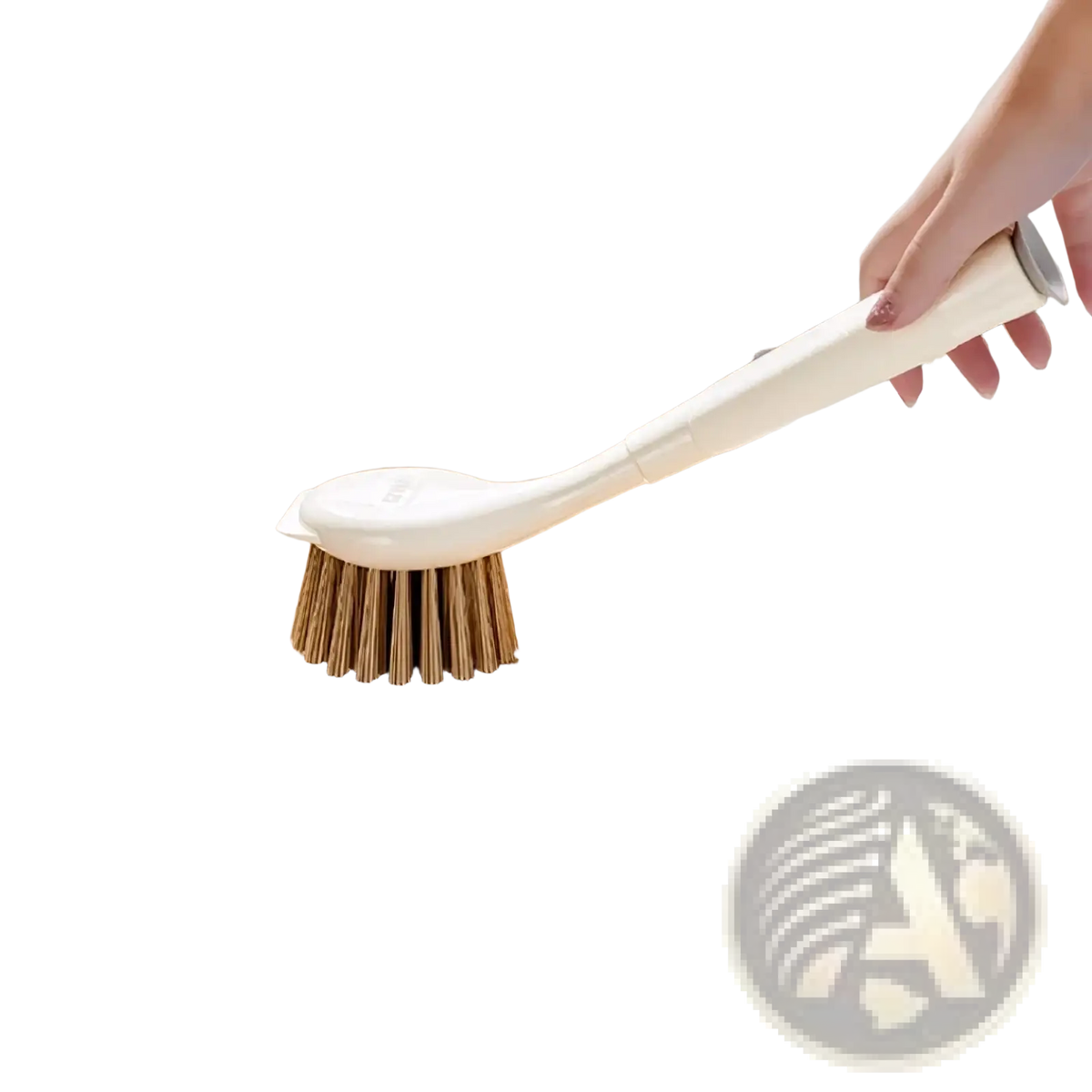 Long handle dish brush with white plastic handle and natural bristles for scrubbing dishes and stove grease