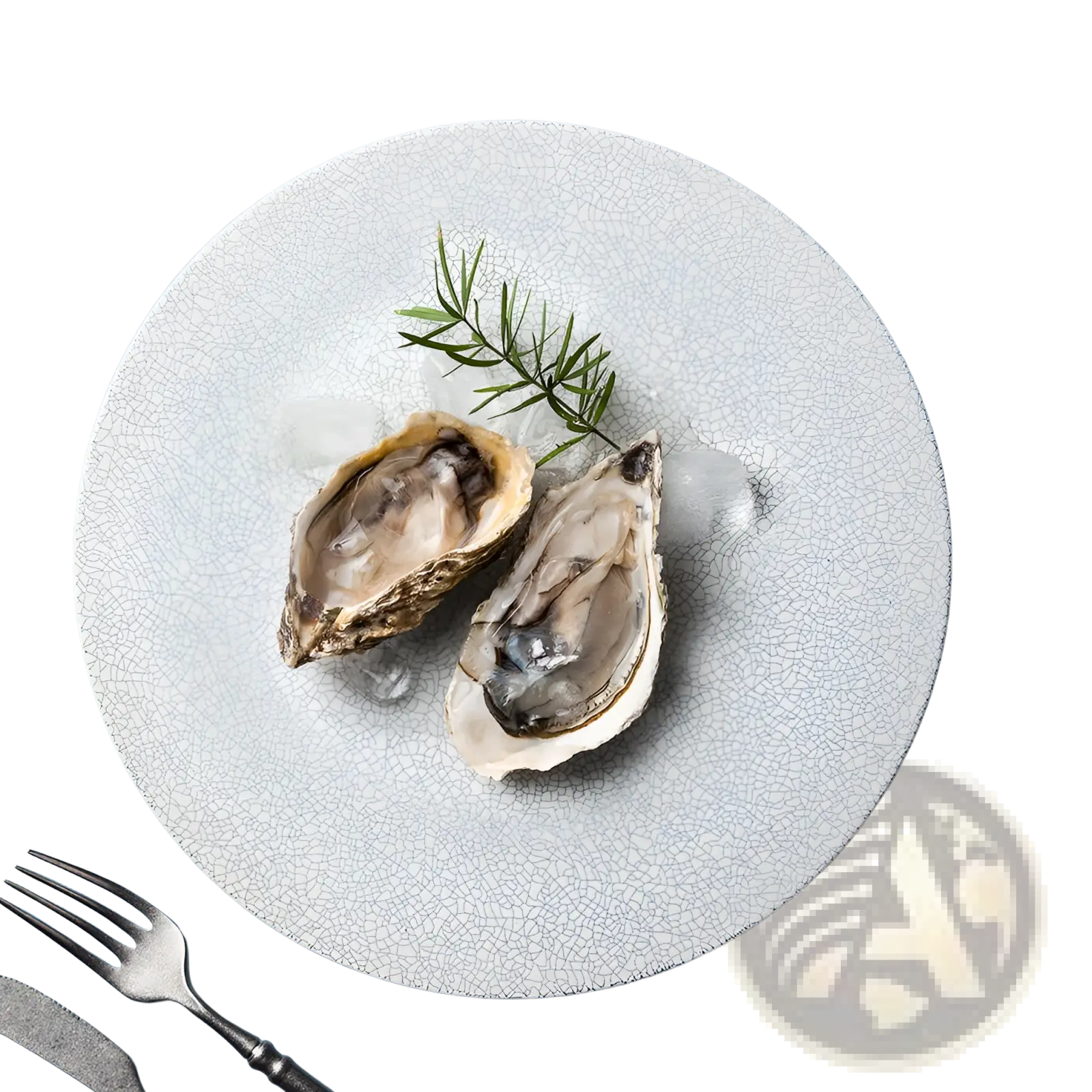 Light gray lucerne sophie ceramic plate with subtle crackled glaze texture for elegant dining use