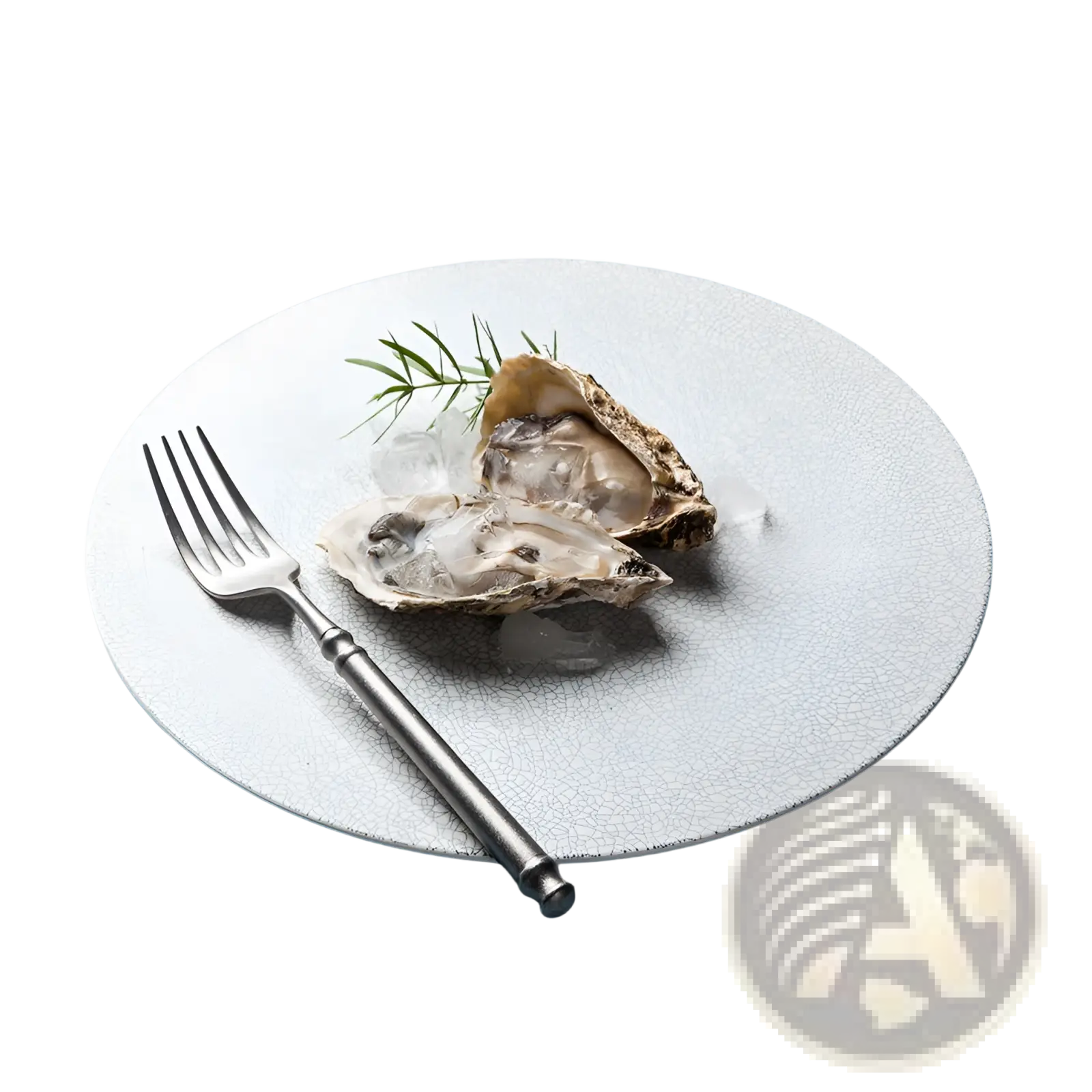 A white Lucerne Sophie ceramic plate with crackled glaze texture holding two oysters on ice garnished with fresh herbs