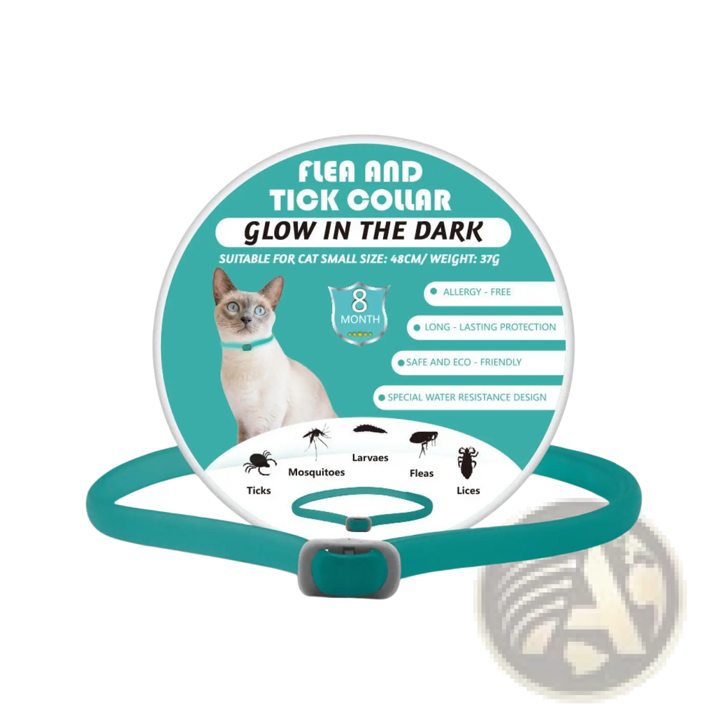 Teal glow-in-the-dark luminous flea and tick collar for small cats with secure buckle protects against pests