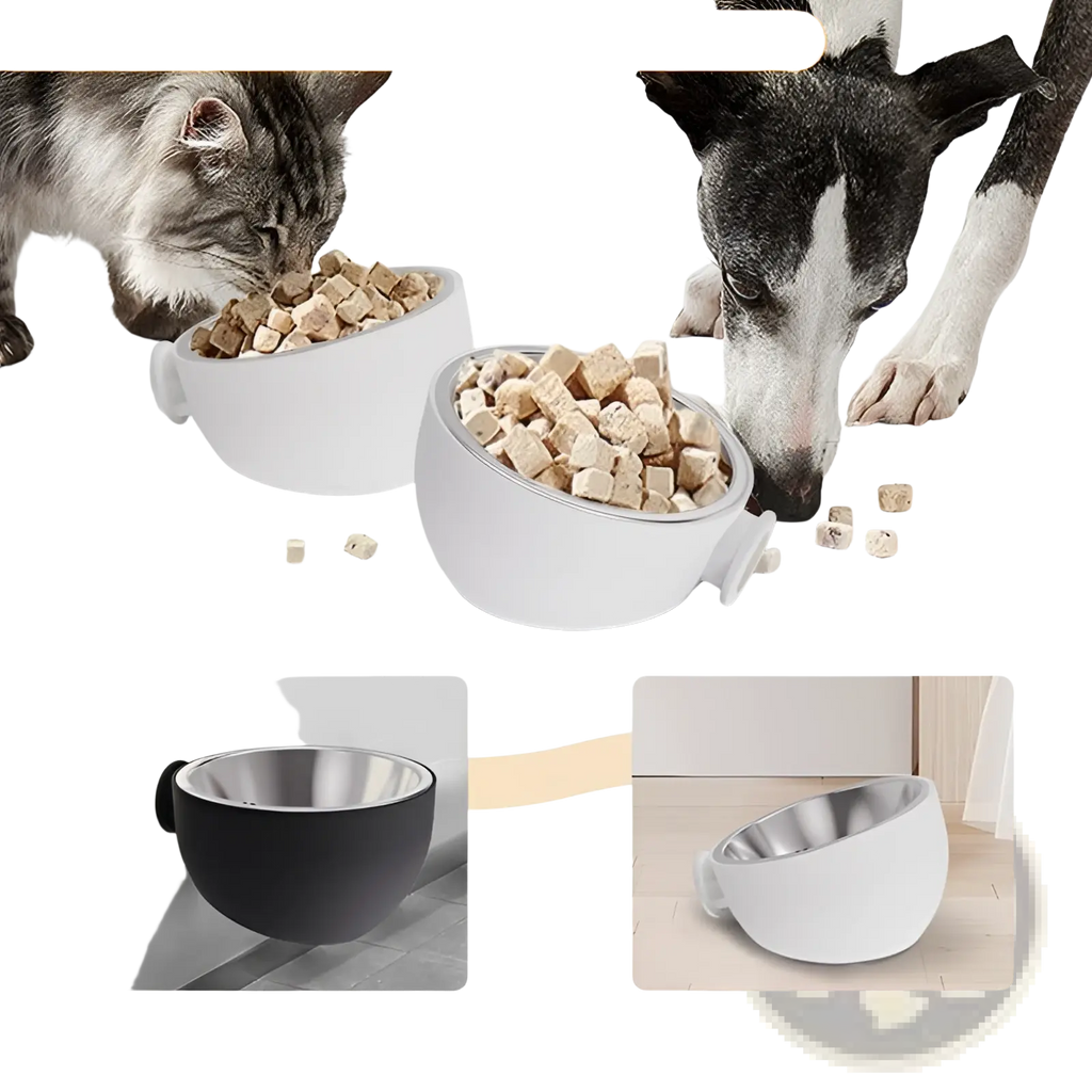 White magnetic wall mounted stainless steel pet food bowl with sleek design and suspension or flat mounting options