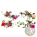 Magpie bird and flower wall sticker with delicate colorful illustration of four small birds on vibrant flowering branches