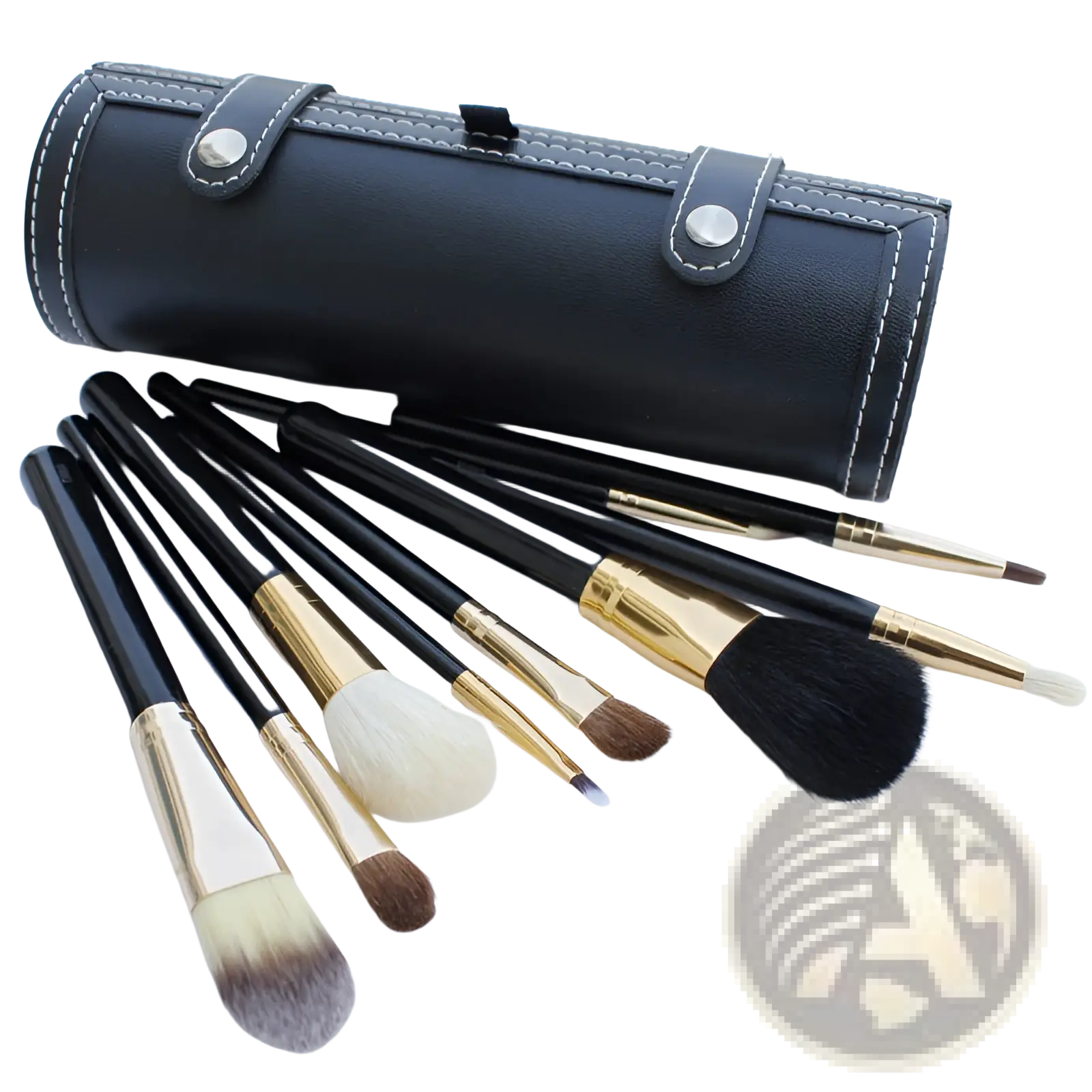 Makeup brush set 10 piece gold and black with various bristles housed in a sleek black leather case