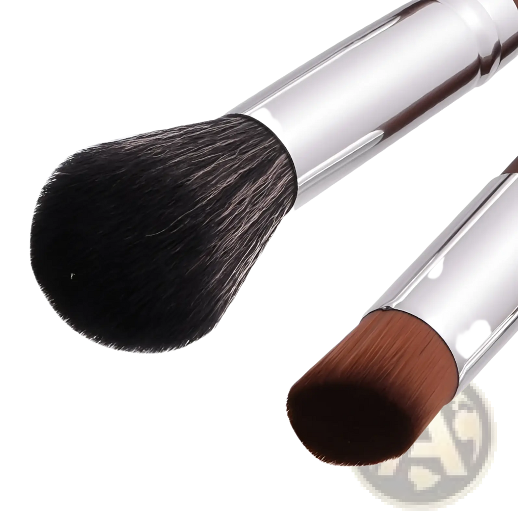 Makeup brush set 10 piece professional silver wood with silver handles and dense black and tapered brown bristles