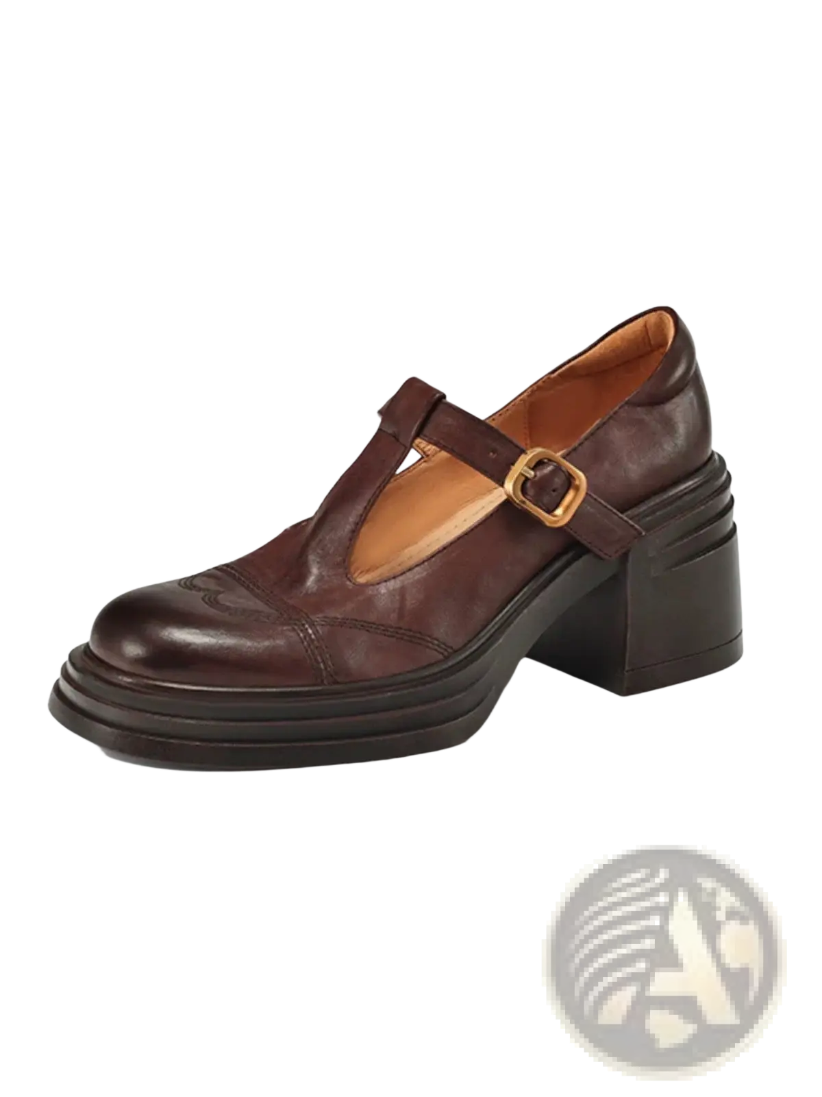 Brown leather Mary Jane shoes with chunky block heel and gold tone buckle for platform pumps style