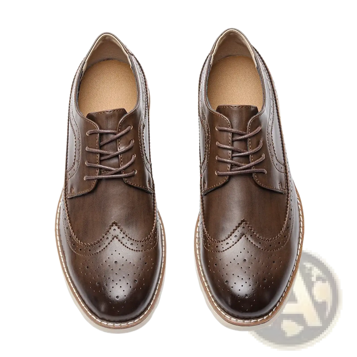 Men leather brogue dress shoes in brown leather with perforated detailing and contrasting light-colored sole