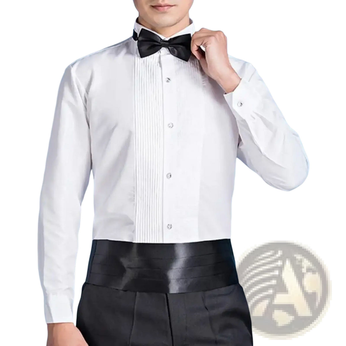Men winged collar tuxedo dress shirt in white with pleated front and black bow tie for formal occasions