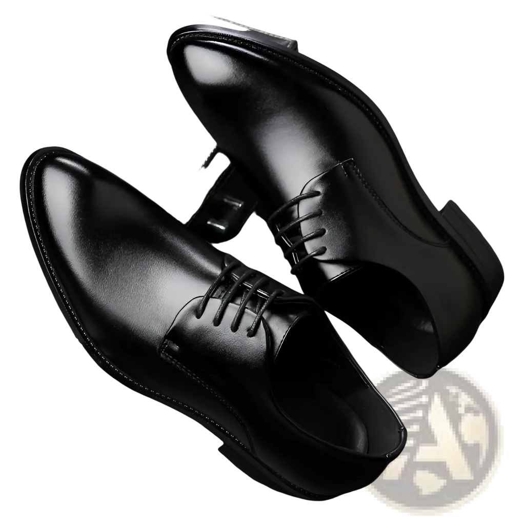 Black leather lace-up men’s dress shoes with polished finish and classic design for formal use