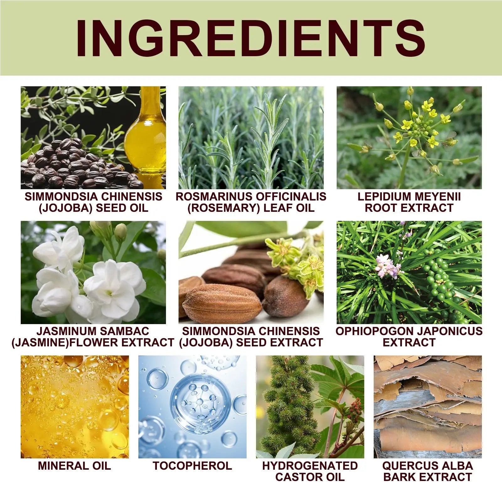 Men’s essential oil jojoba massage vitality 10ml showing eight labeled botanical ingredients used in skincare
