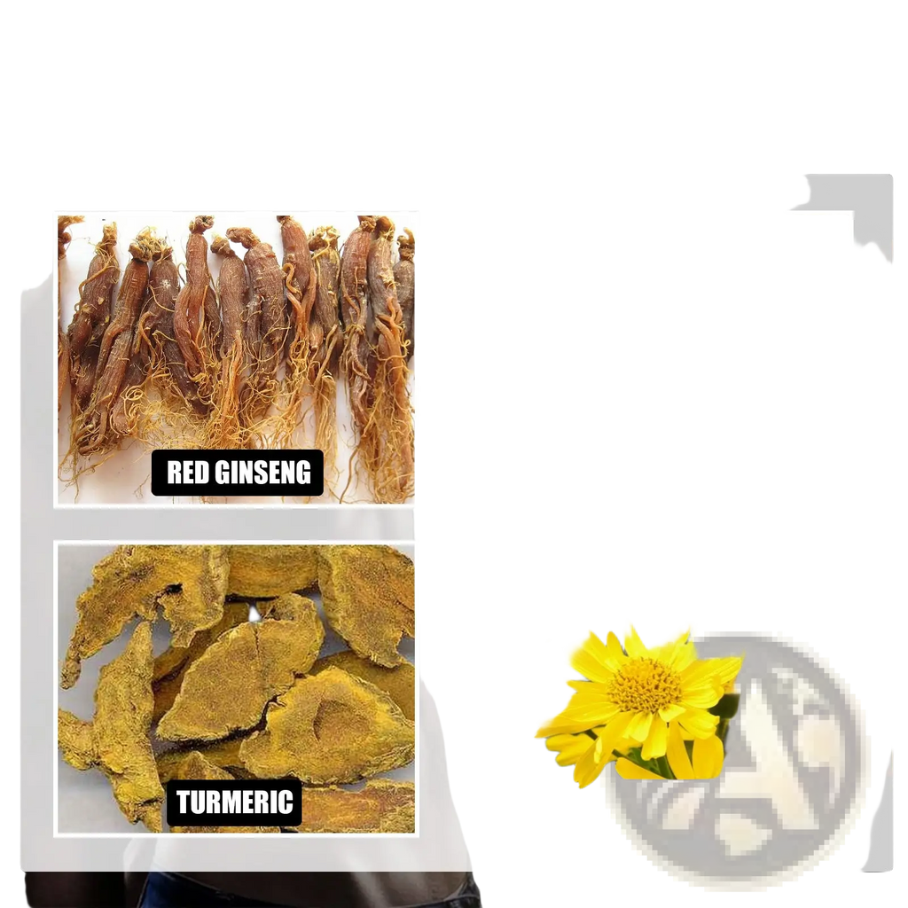 Men’s massage essential oil 10ml featuring dried red ginseng roots with deep brown color and intricate root structure