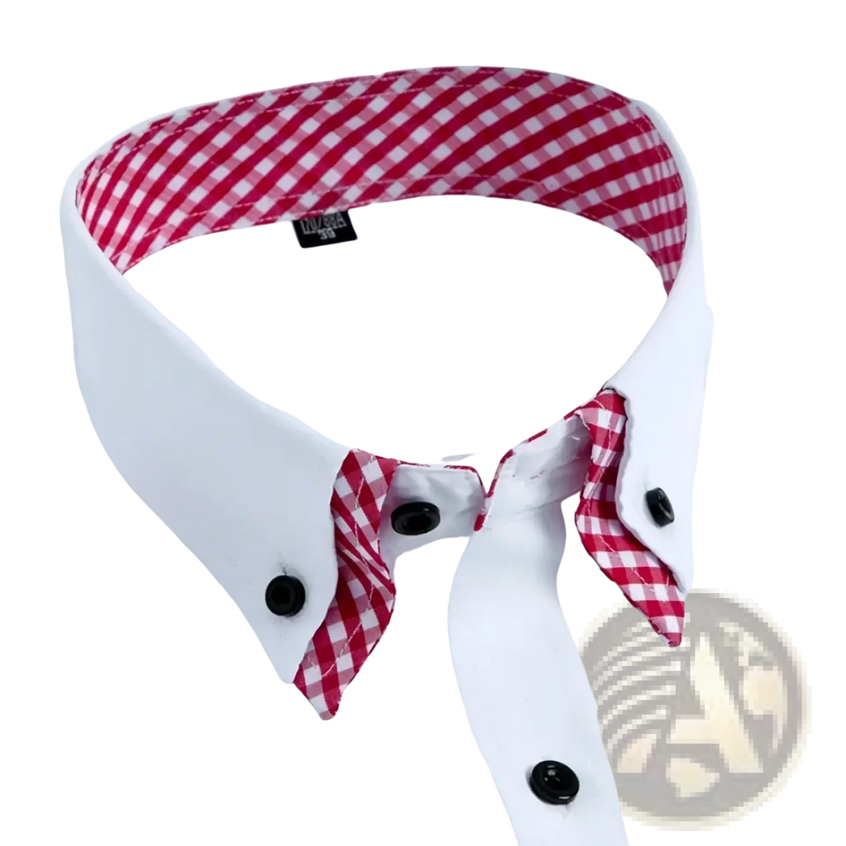 Men’s non-iron white button-down business shirt with red and white gingham lining and black buttons visible at collar and cuffs