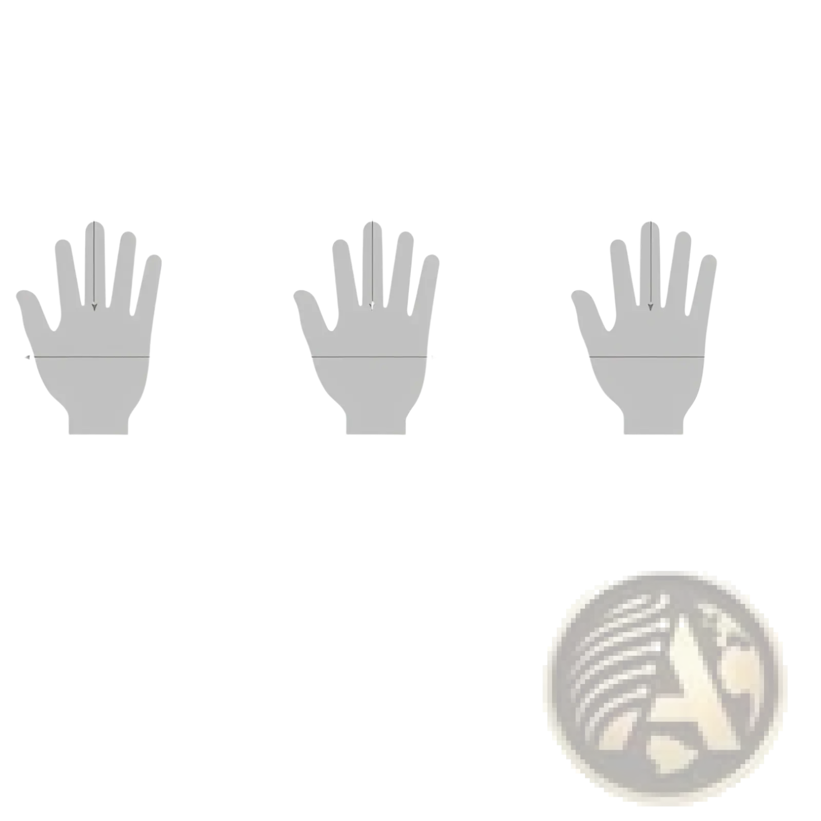 Gray hand silhouette diagrams showing medium large and extra-large sizes for men’s white cotton work gloves with reinforced fingertips
