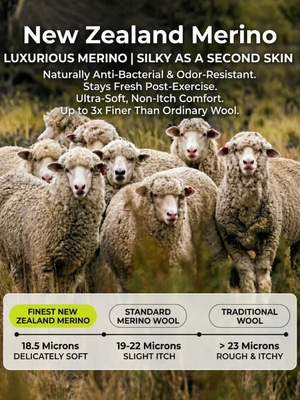 Merino wool athletic t-shirt women quick dry made from ultra-soft natural anti-bacterial odor-resistant merino wool