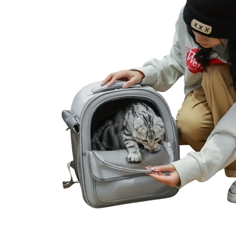 Mesh foldable pet carrier backpack gray with a soft padded interior housing a silver tabby cat in gray kemorela fabric