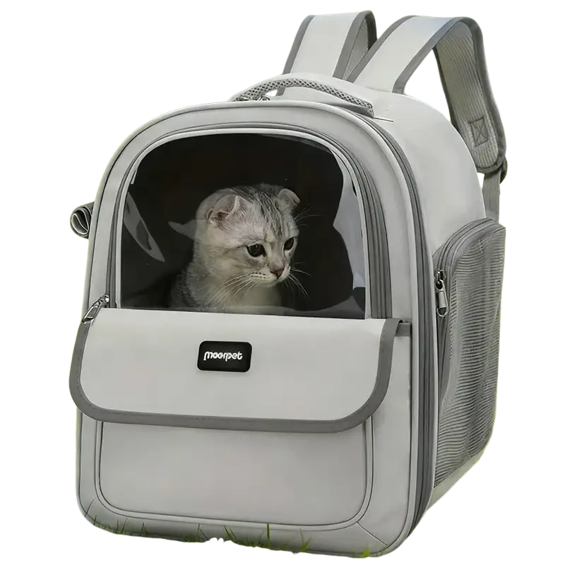 A light gray mesh foldable pet carrier backpack with transparent front panel and mesh side pockets holding a tabby cat