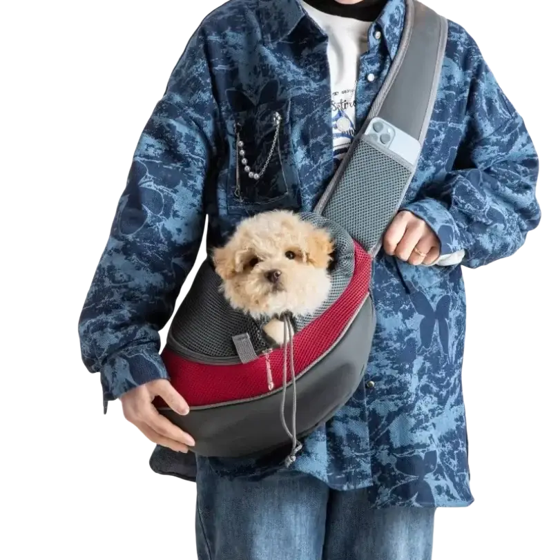 Gray and red mesh pet carrier backpack with adjustable shoulder strap for small pets and medium breeds from mainland china