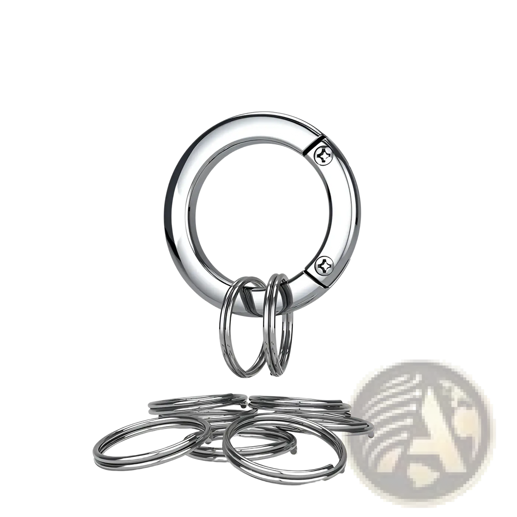 A sleek silver-toned metal carabiner with polished finish and two screws for detachable keychain ring holder