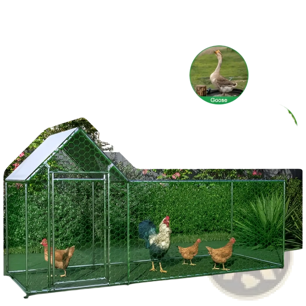 Green metal chicken coop run with tunnel for secure poultry habitat and protection outdoors
