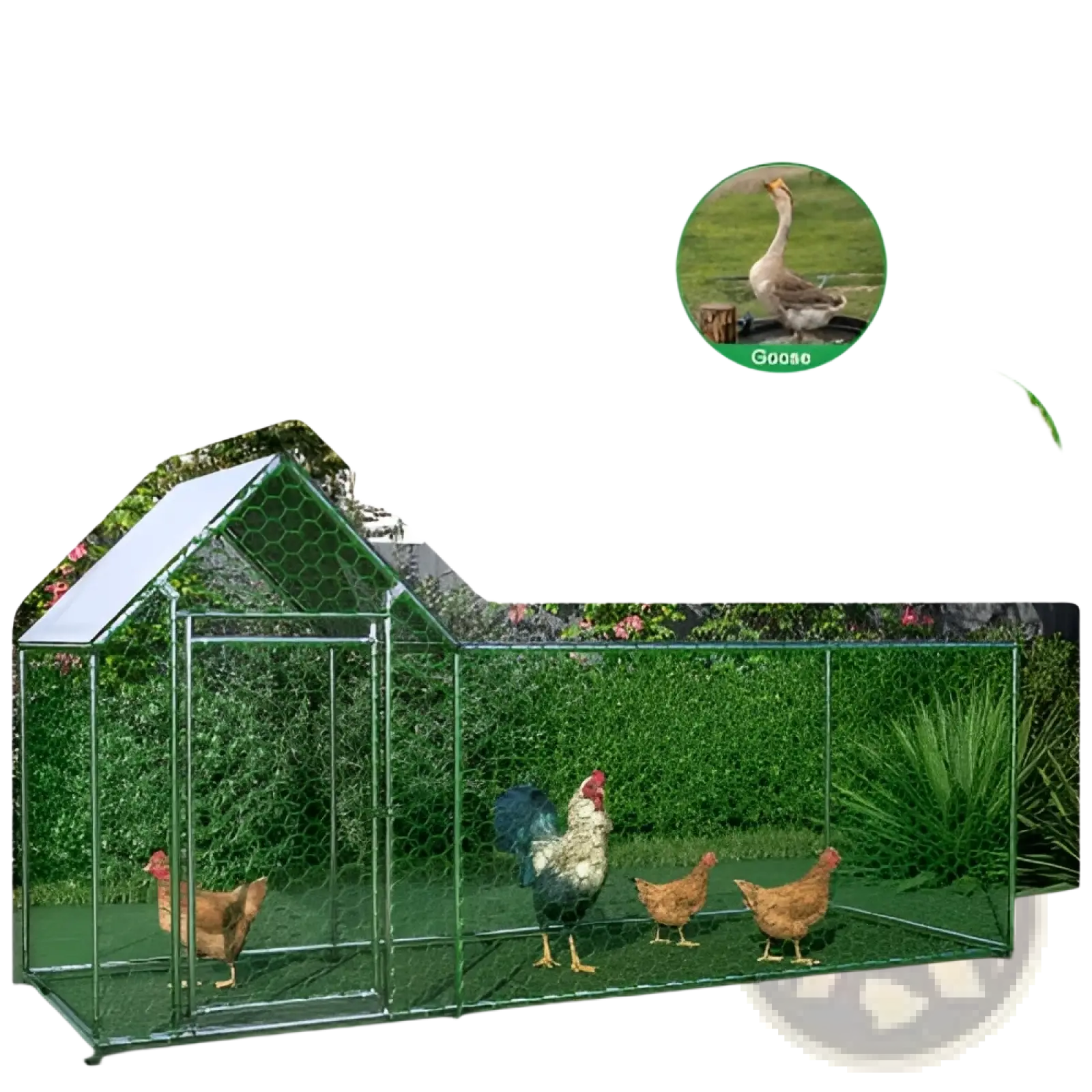 Green metal chicken coop with white roof and hexagonal mesh panels for poultry habitat and run enclosure