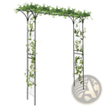 Black wrought iron metal garden arbor archway 81in adorned with lush green ivy vines for climbing plants