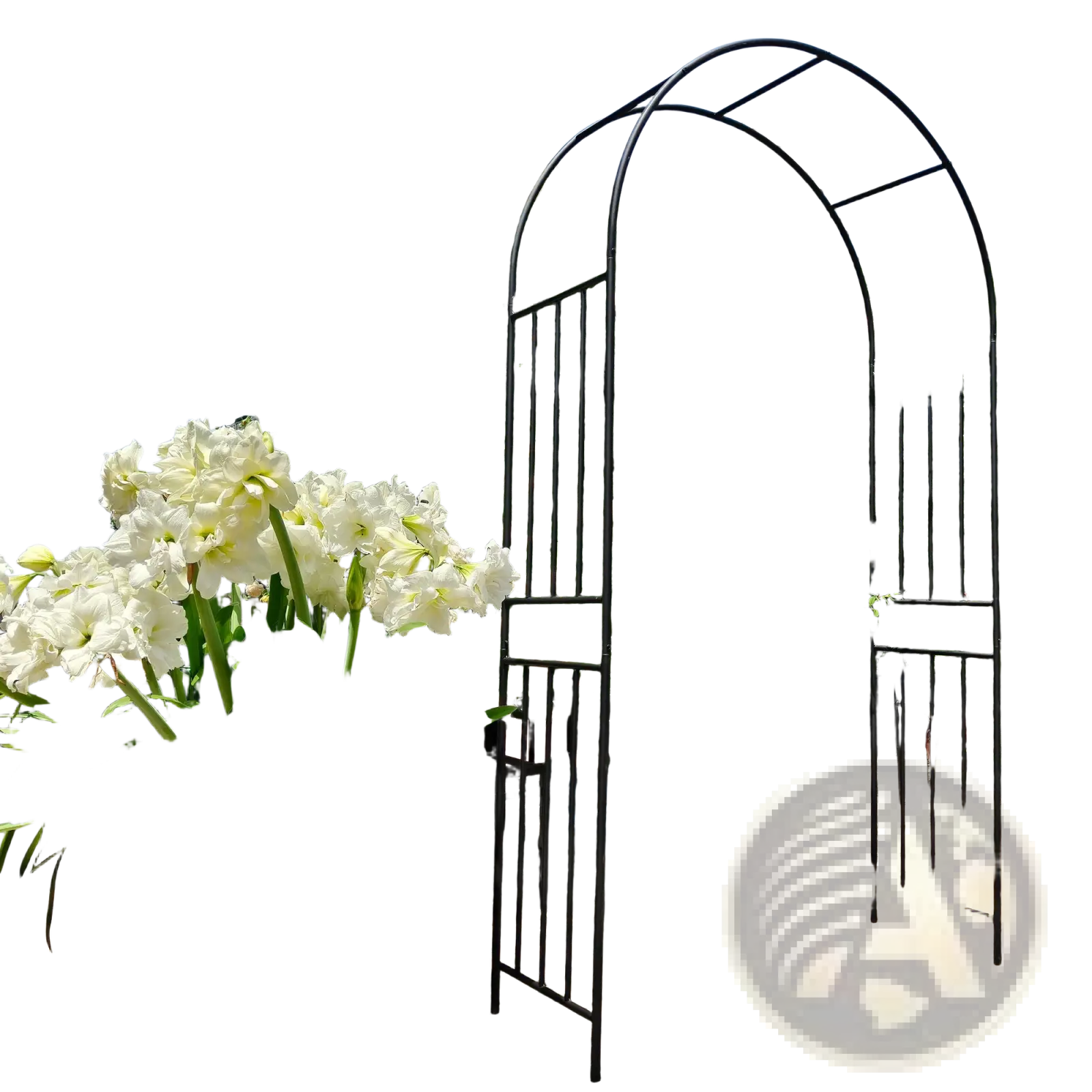 Black wrought iron garden arbor with curved top and vertical bars supporting climbing roses for outdoor use