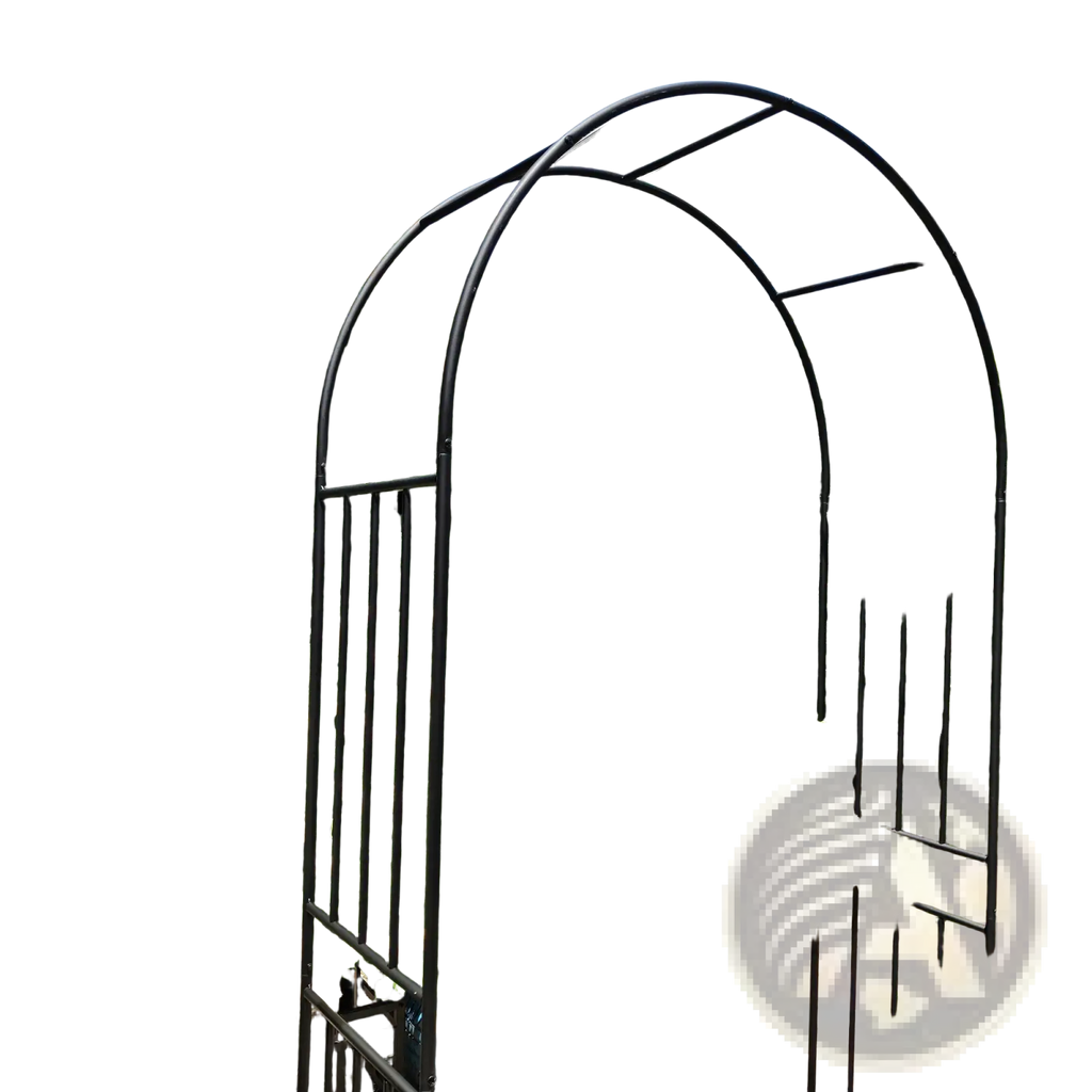 Black wrought iron metal garden arch with curved arches and vertical bars supporting cream roses and greenery