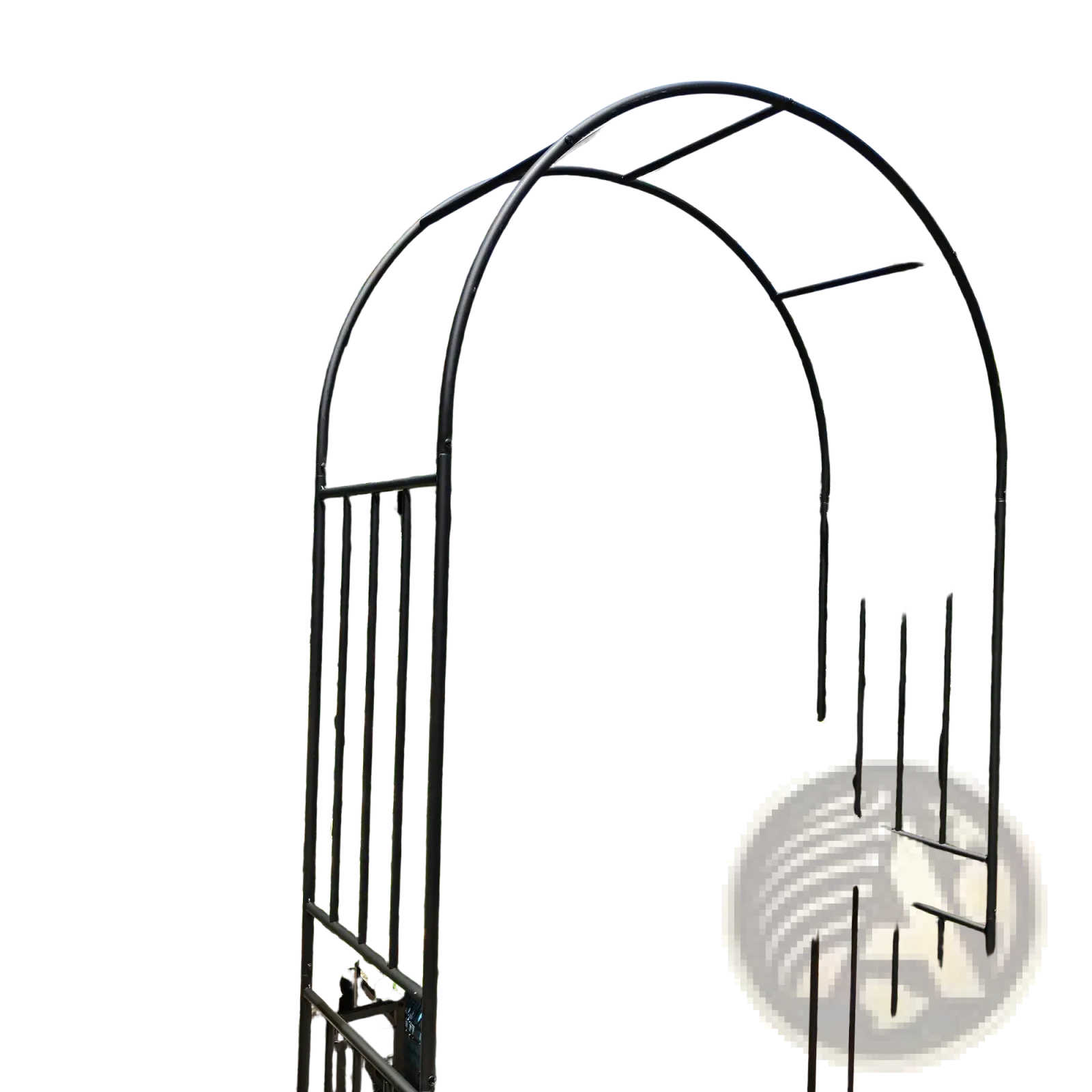 Black wrought iron metal garden arch with curved arches and vertical bars supporting cream roses and greenery