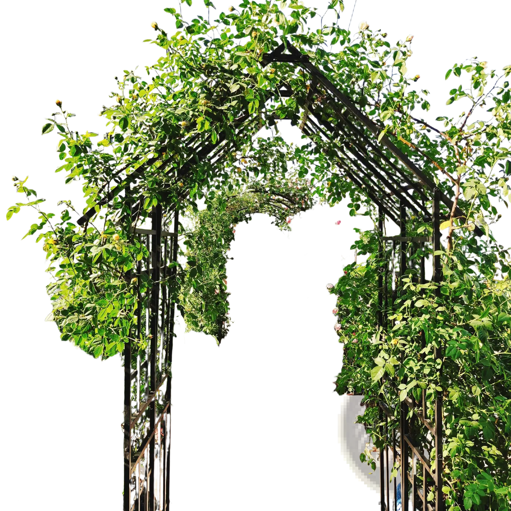 Black metal garden arch trellis with gate covered in lush green vines and blooming pink roses measuring 97 inches