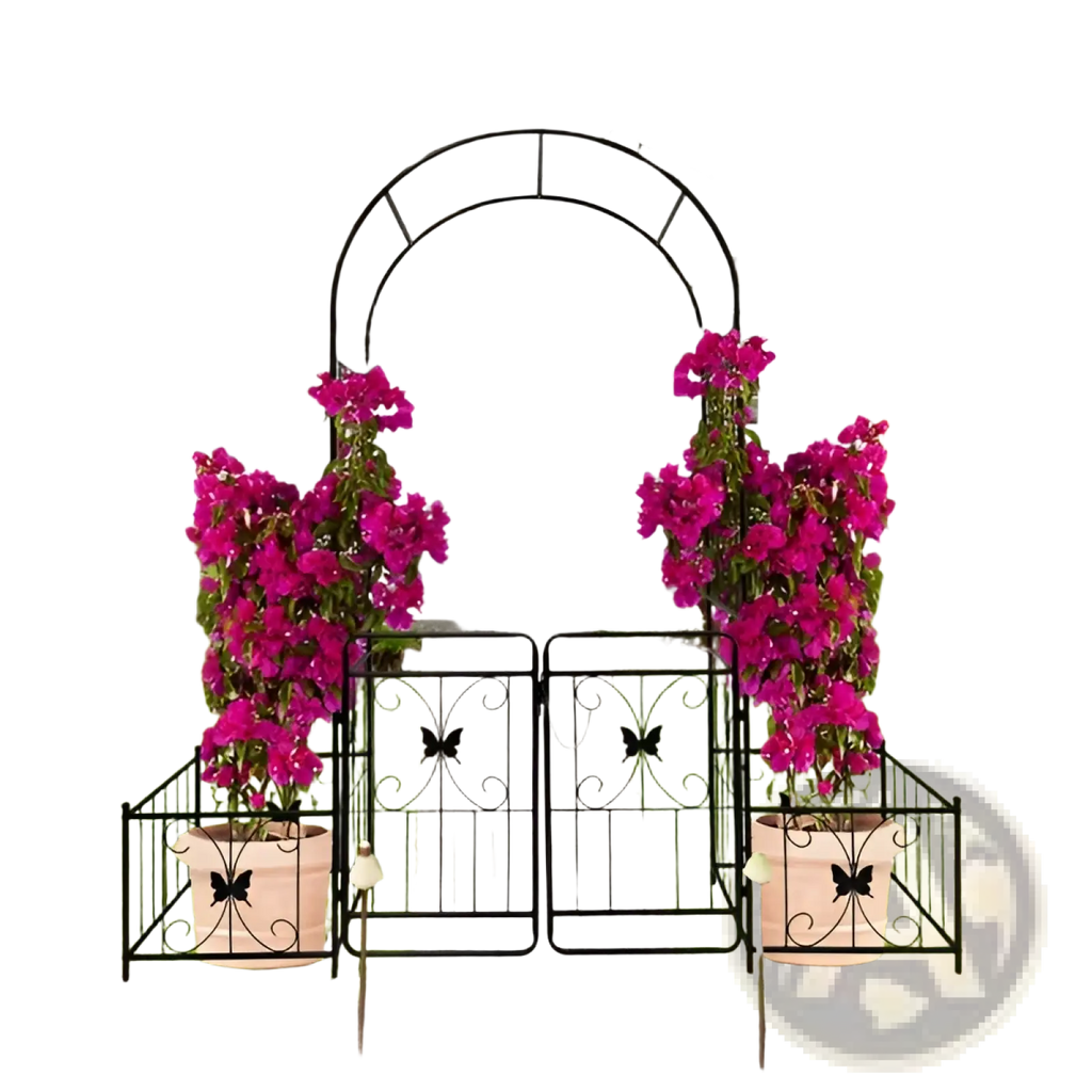 Black wrought iron metal garden arch with butterfly gate and trellis flanked by magenta bougainvillea in terracotta pots