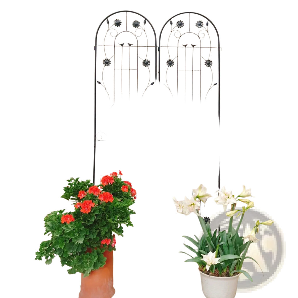Black wrought iron metal garden trellis 2 pack with arched top and floral scrollwork for rose flower support