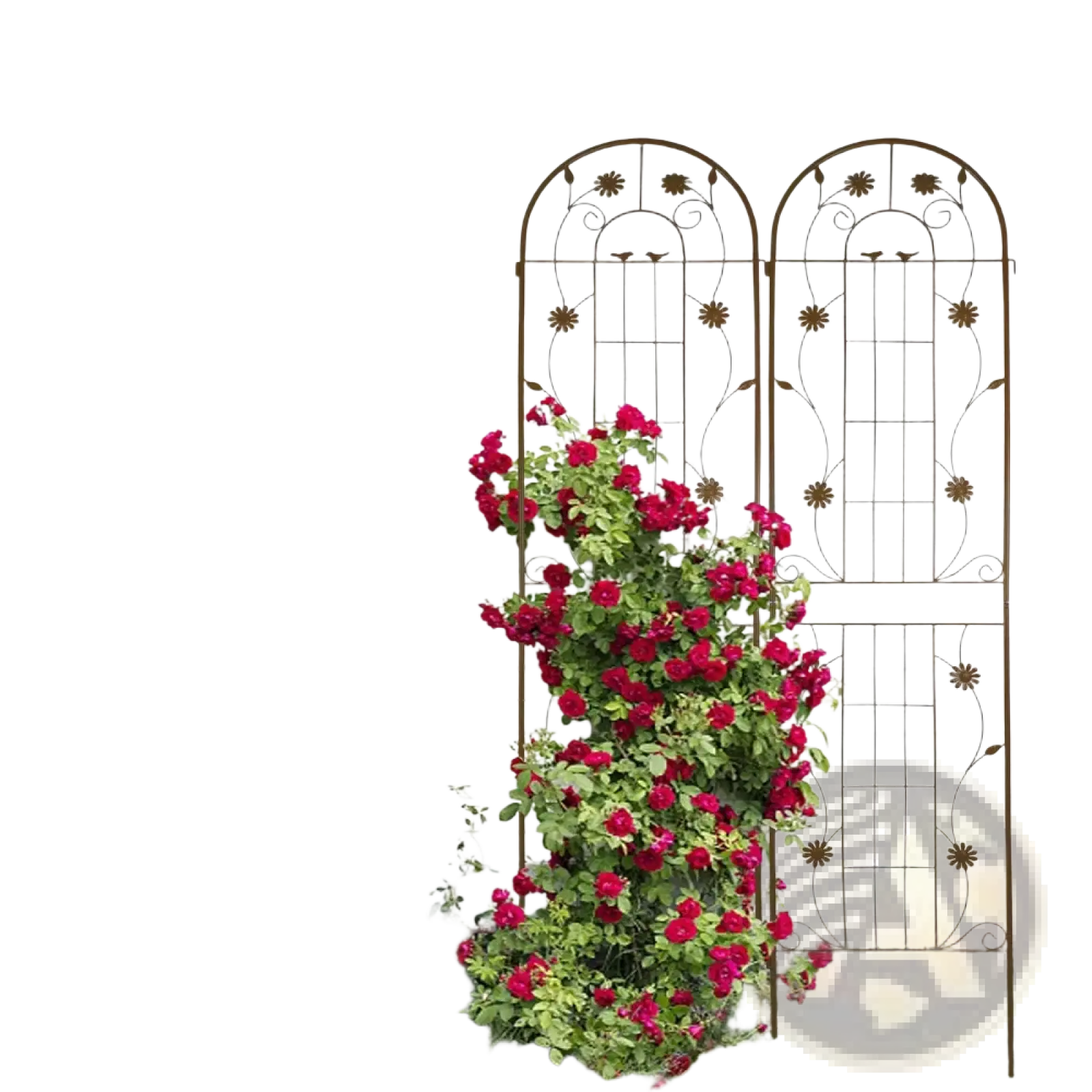 Ornamental black wrought iron garden trellis with arched top and floral motifs metal garden trellis 2 pack rose flower support