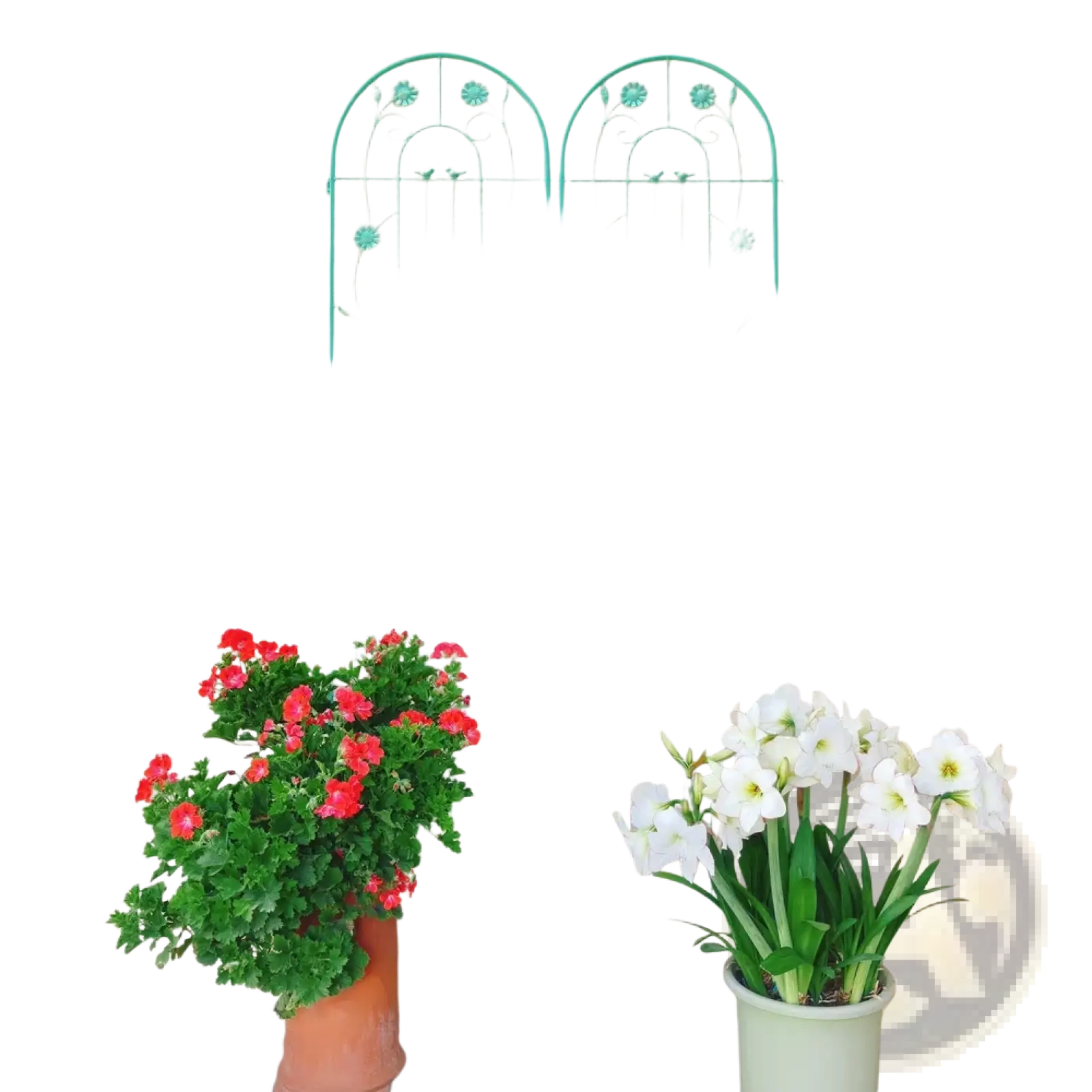 A turquoise metal garden trellis with arched top and floral embellishments for rose flower support