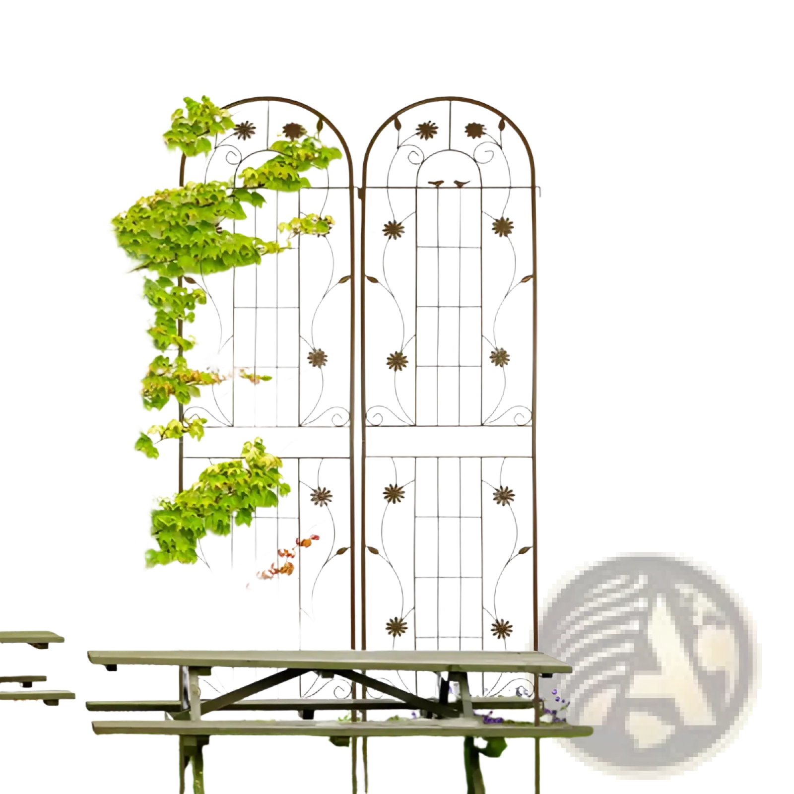 Metal garden trellis 2 pack with arched top dark brown iron floral vine design for rose flower support