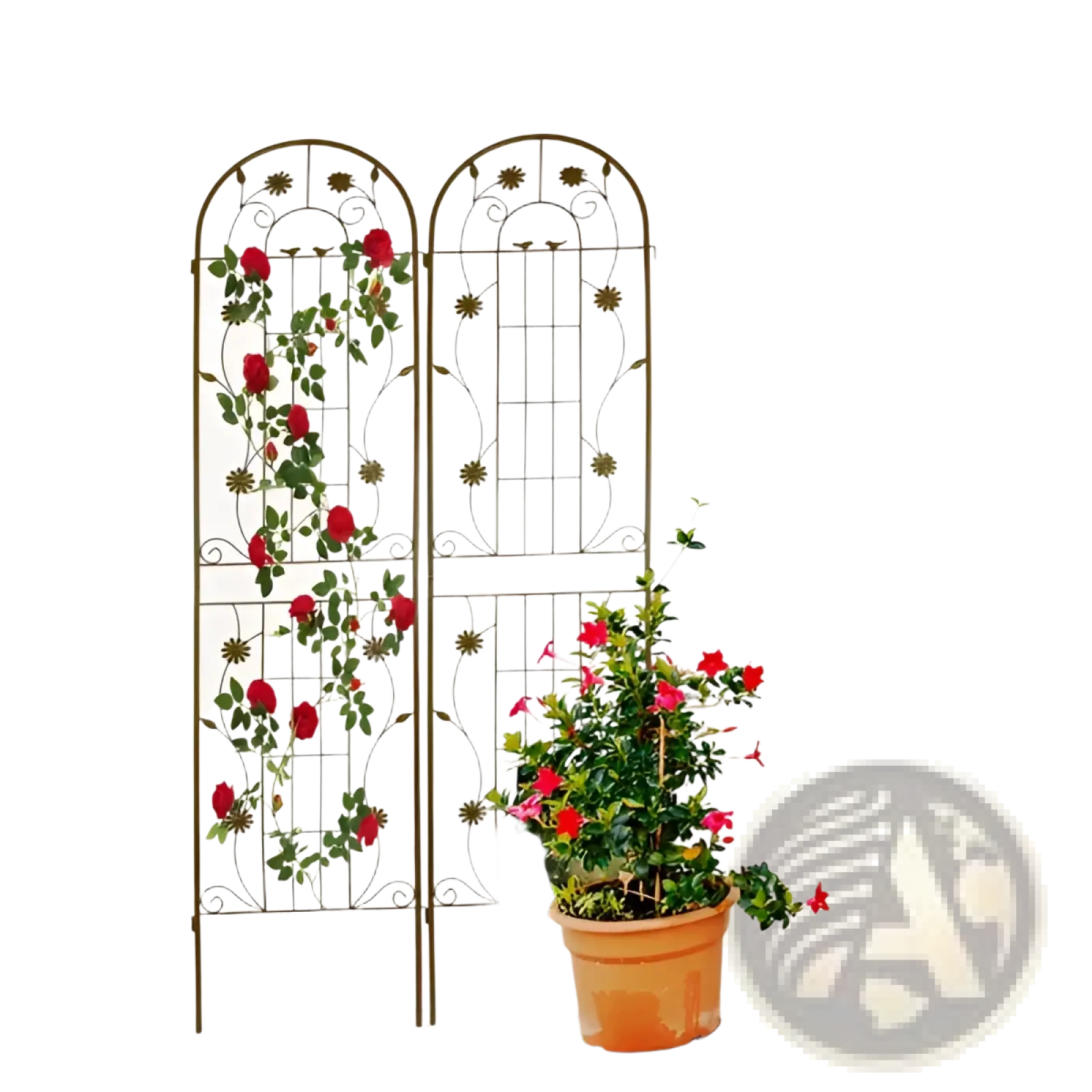Ornate black wrought iron metal garden trellis 2 pack with arched top and floral vine design for rose support