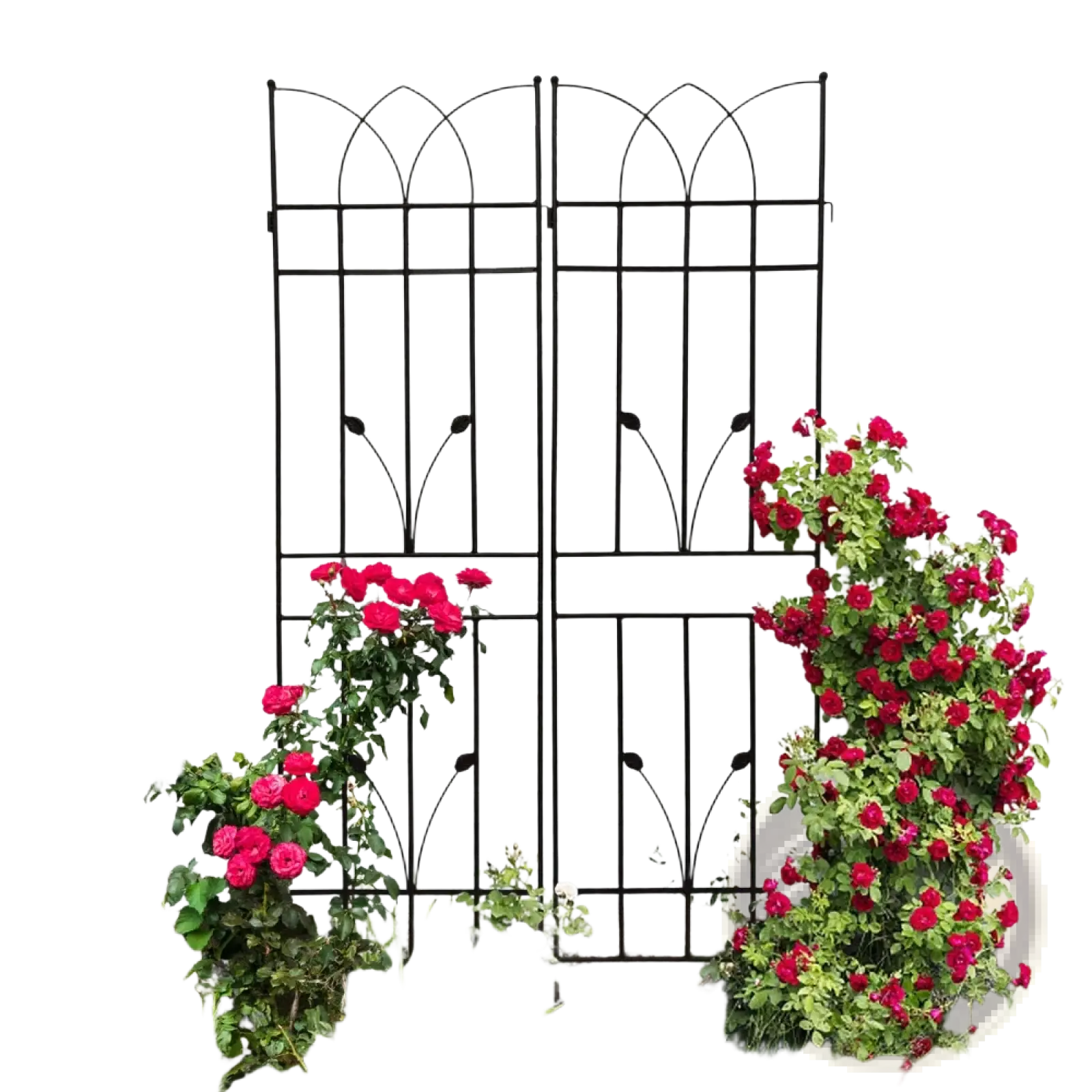 Black wrought iron garden trellis with arched top and decorative leaf motifs metal garden trellis 2 pack 71 inch