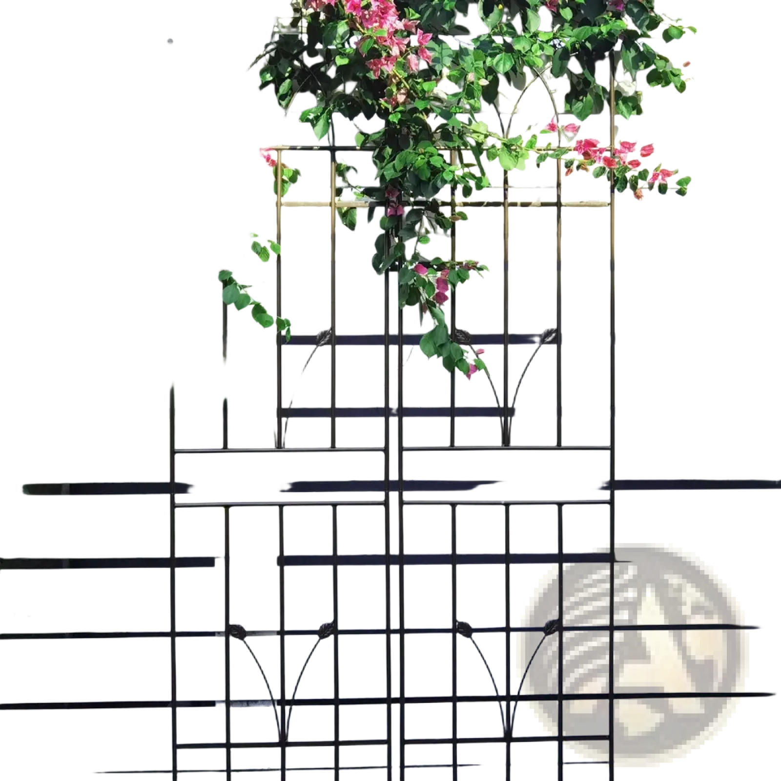 Black wrought iron metal garden trellis 2 pack with decorative arched patterns and pink bougainvillea flowers