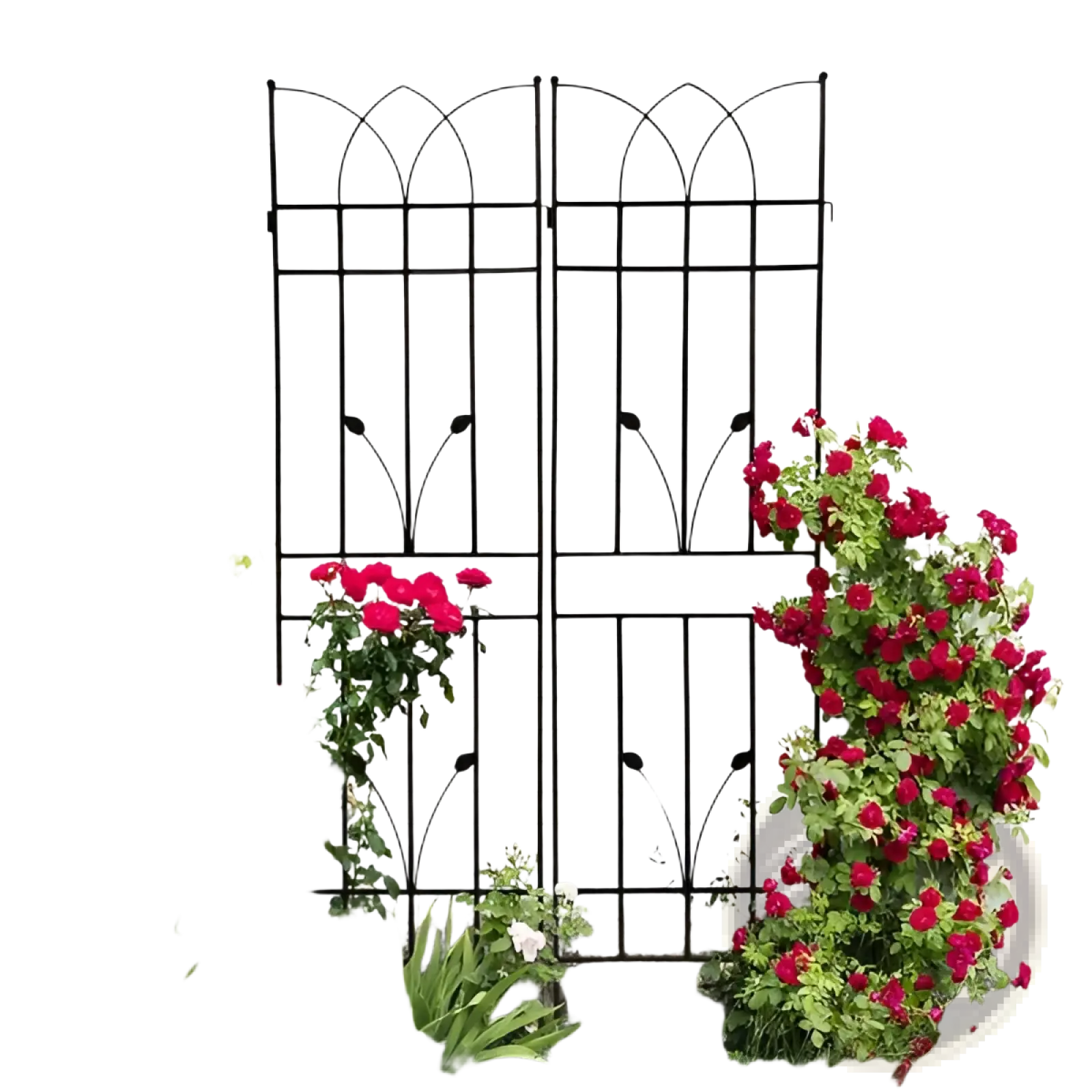 Black wrought iron metal garden trellis 2 pack with arched top and decorative rose leaf motifs 71 inch tall