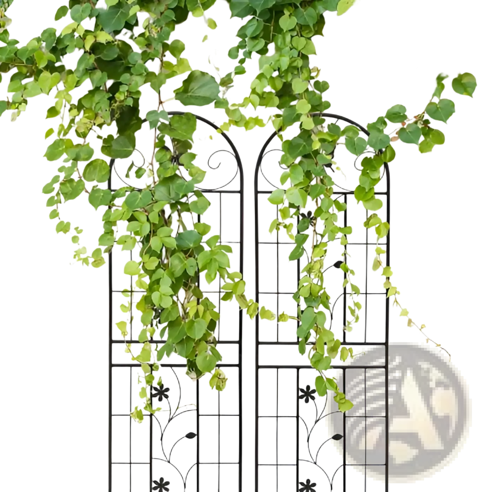 Black wrought iron metal garden trellis 2 pack with rustproof butterfly design and cascading green ivy adornment