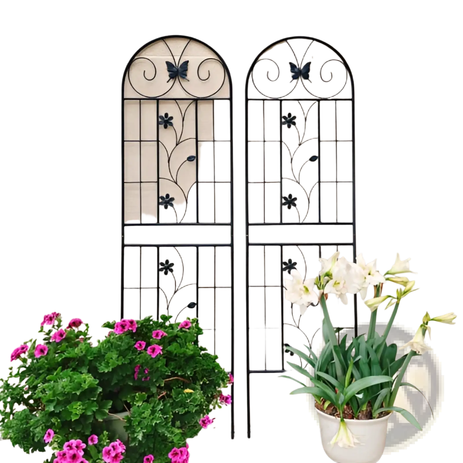 Black wrought iron garden trellis 2 pack rustproof butterfly design with arched top and floral accents 71in tall
