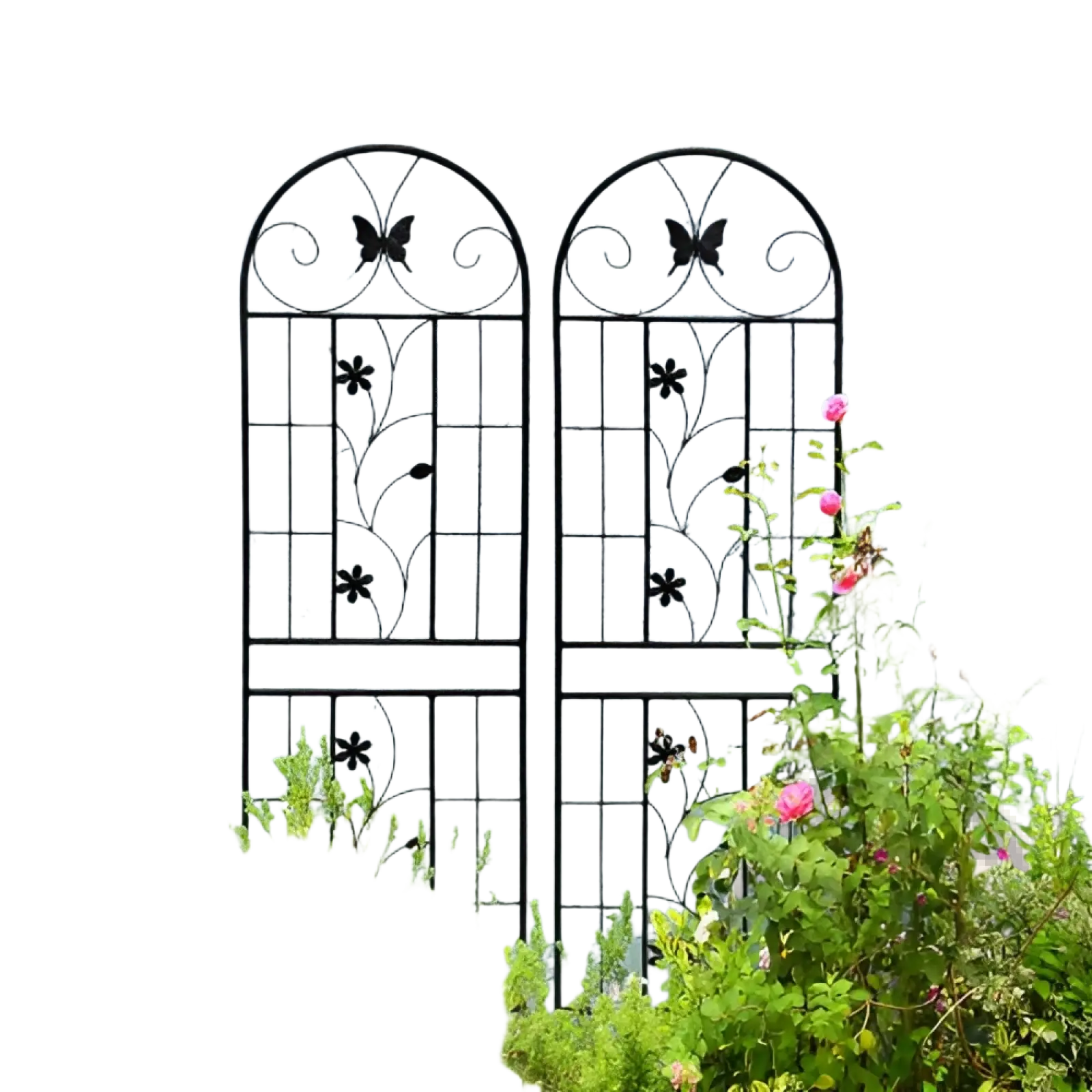 Black wrought iron metal garden trellis 2 pack rustproof butterfly design with arched tops 71in tall