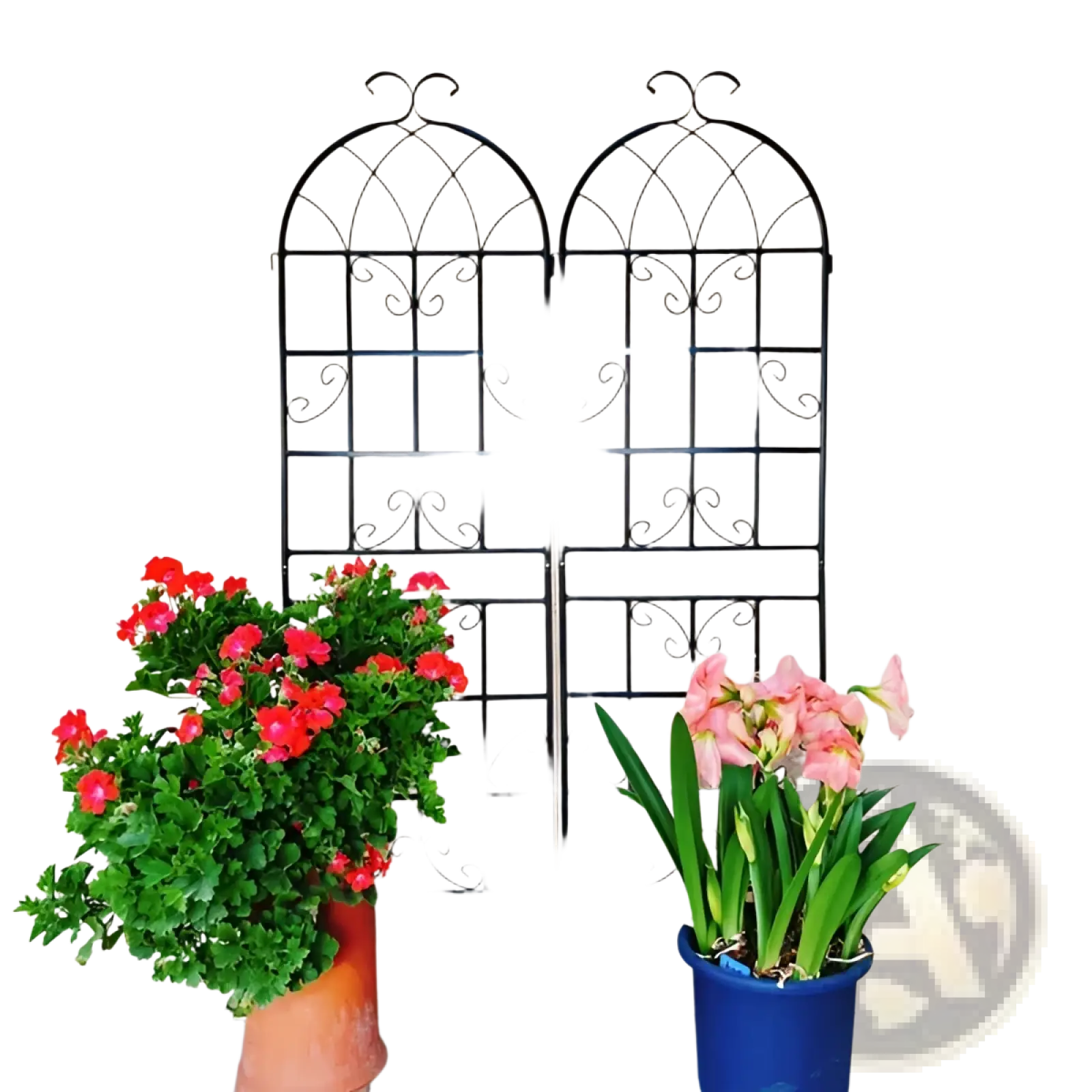 Black wrought iron garden trellis with arched top and scrollwork design metal support for plants 71 inch height