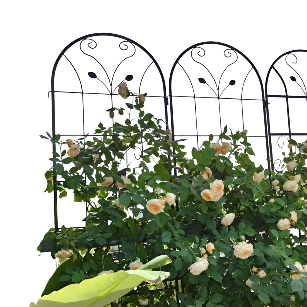 Black wrought iron metal garden trellis 87 inch arched butterfly design with ornate scrollwork and peach roses