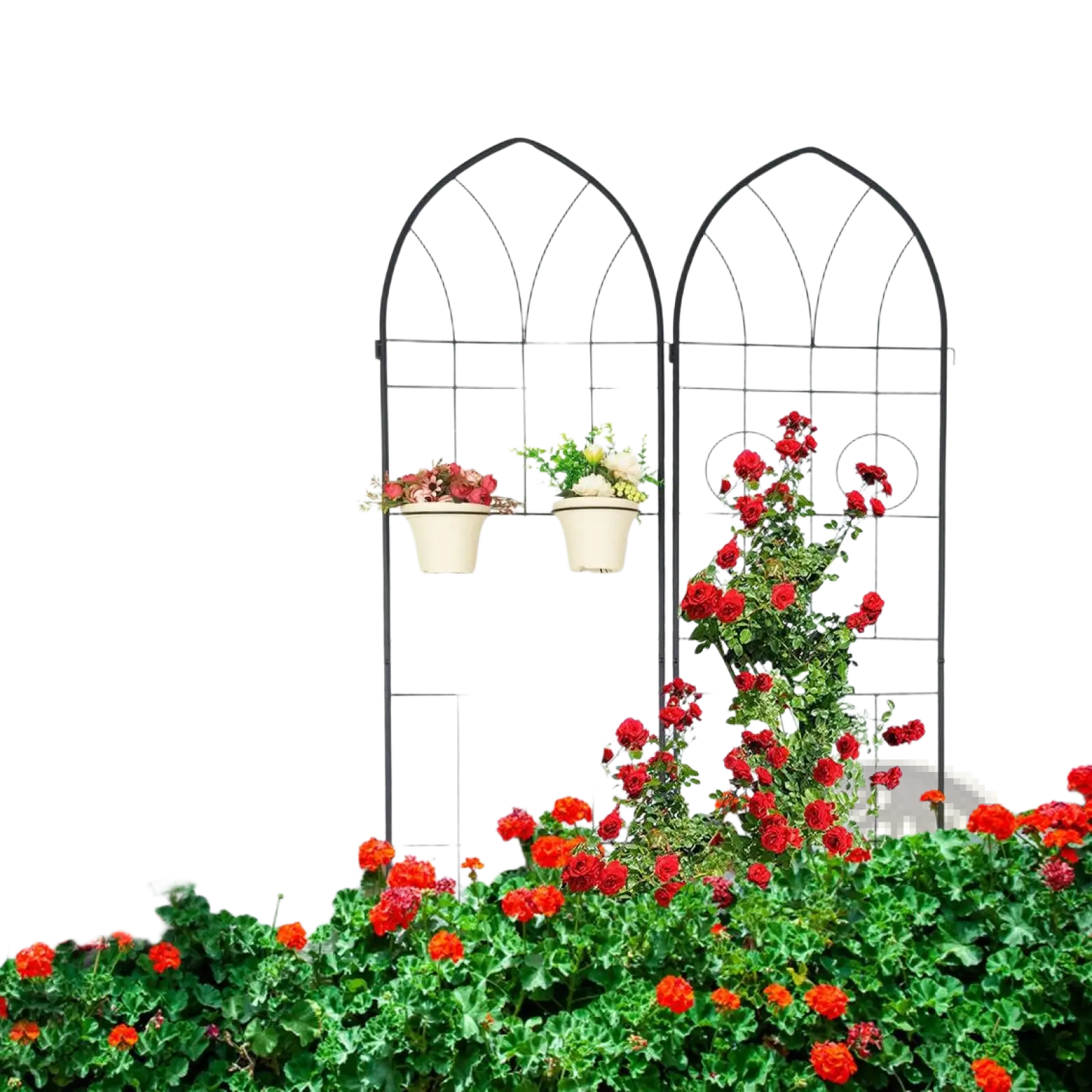 Black wrought iron metal garden trellis 4 pack with arched top and circular accents holding hanging planters