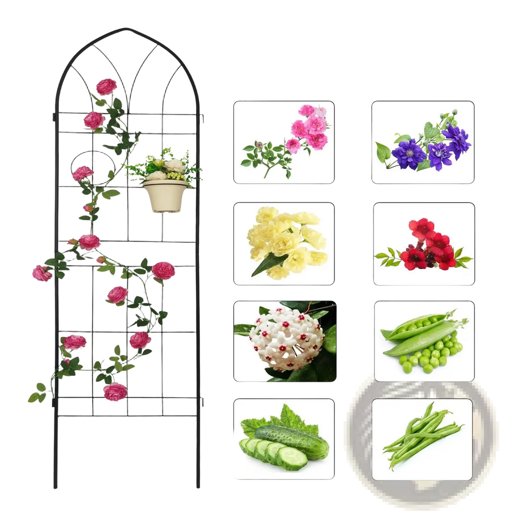 Black metal garden trellis with arched top vertical grid design and hanging planter for climbing plants 4 pack